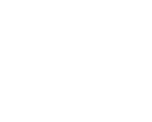 Stronghold Logo Transparent White